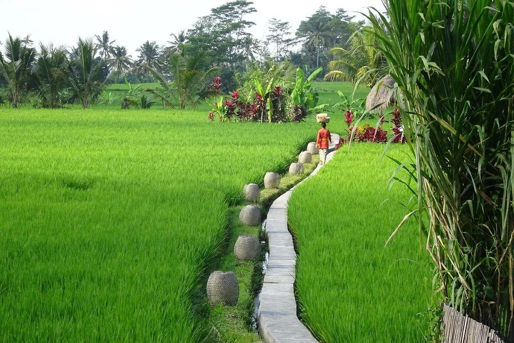 Mathis Retreat Ubud Hotel
