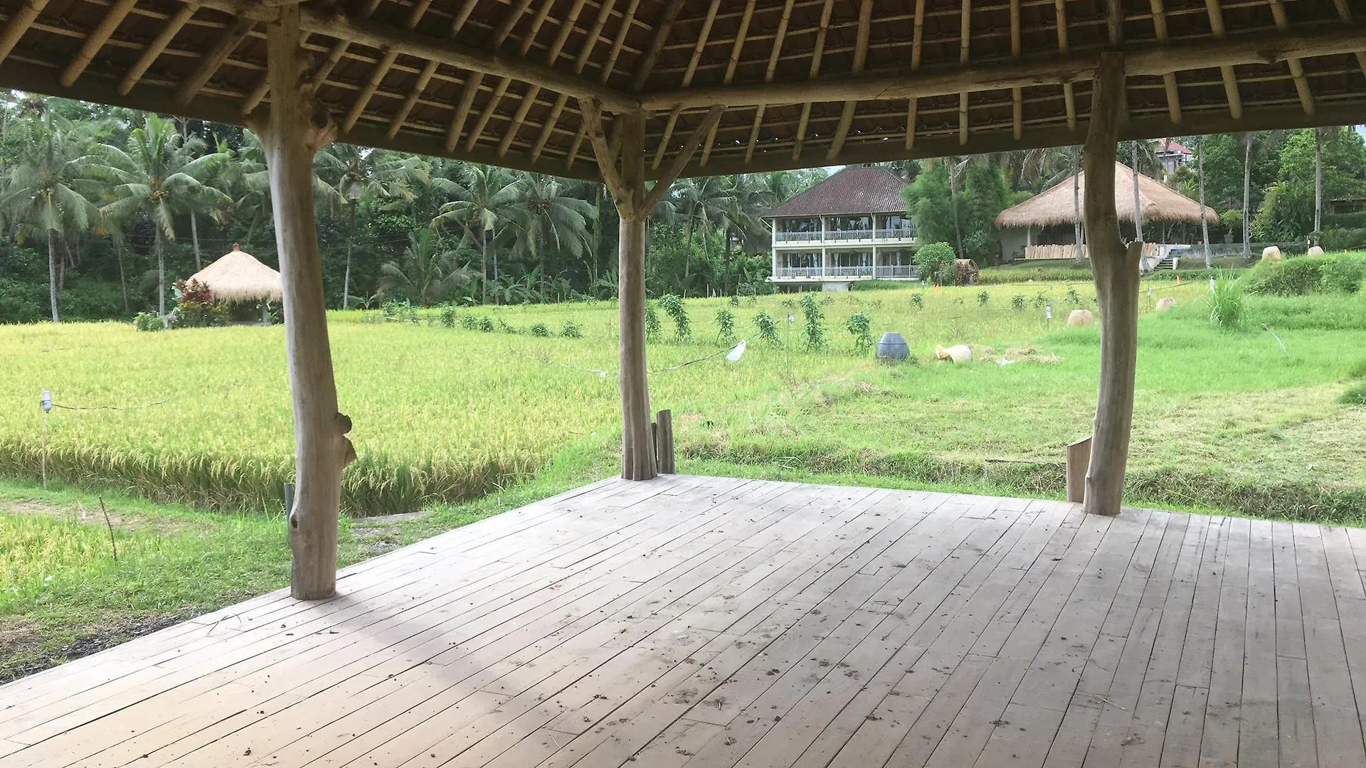 Hotel Mathis Retreat Ubud