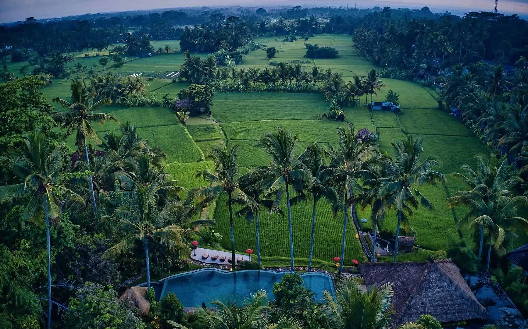 Mathis Retreat Ubud Hotel