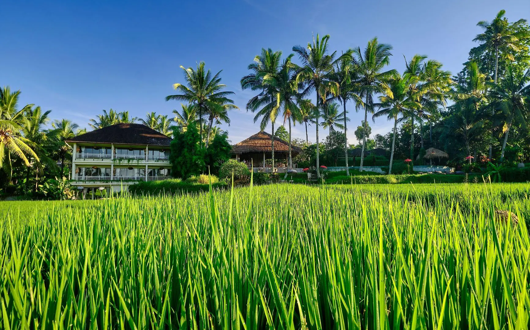 Mathis Retreat Ubud