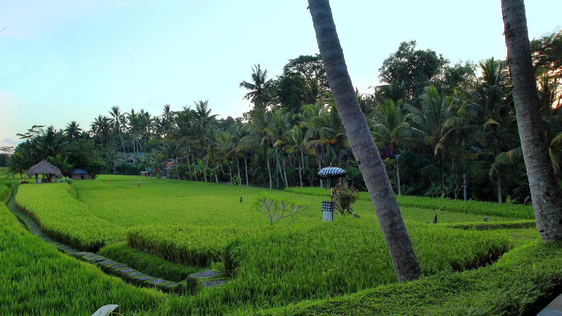 Mathis Retreat Ubud 4*, Ubud (Bali) Indonesia