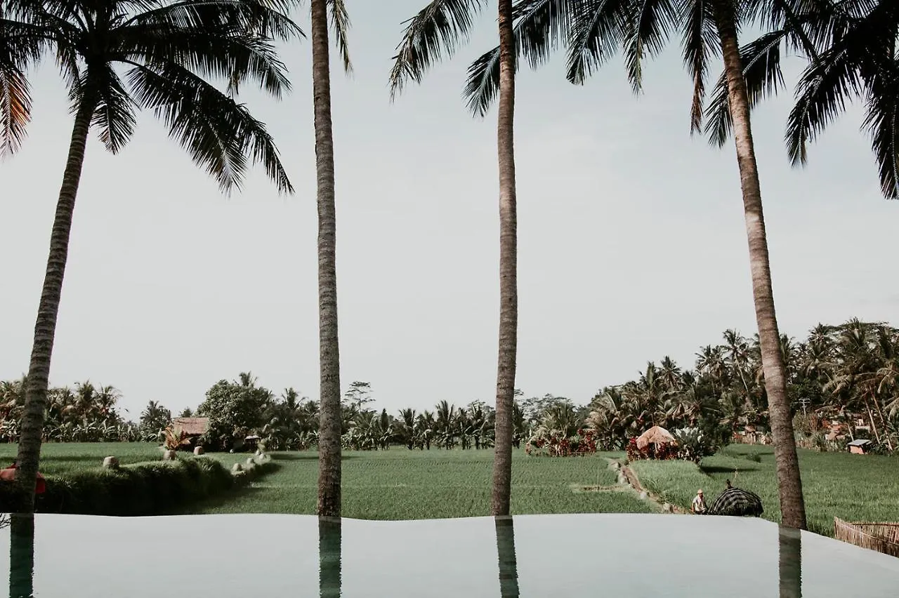 Mathis Retreat Ubud Hotel
