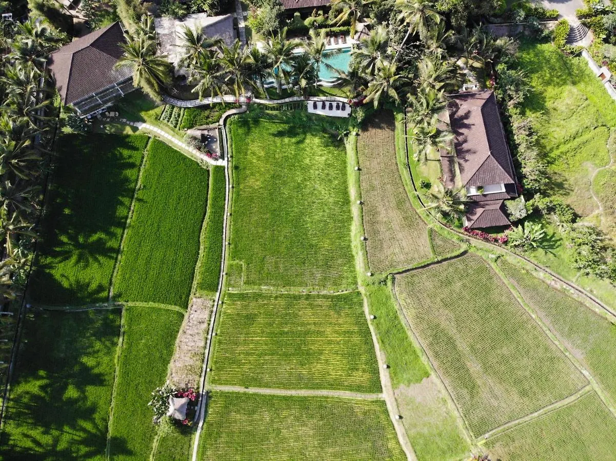 Mathis Retreat Ubud