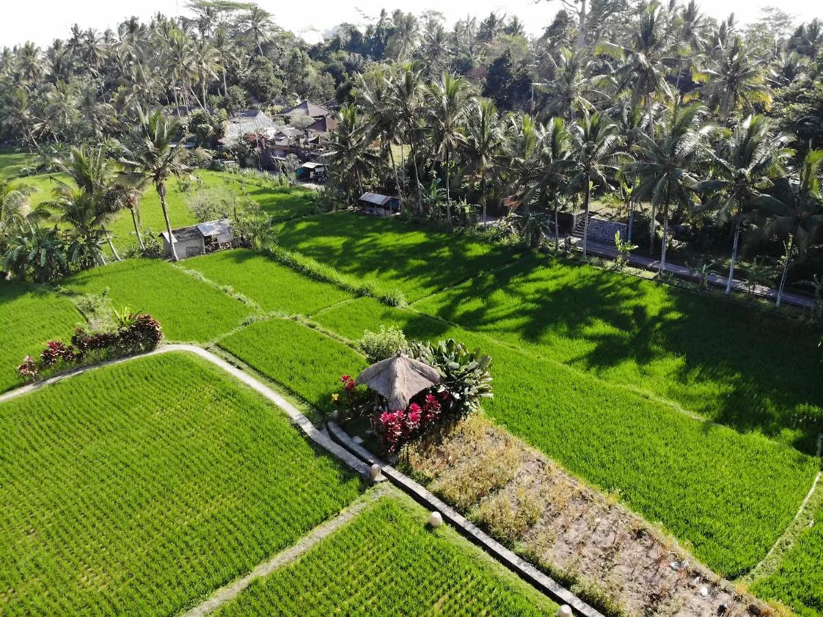 Hotel Mathis Retreat Ubud