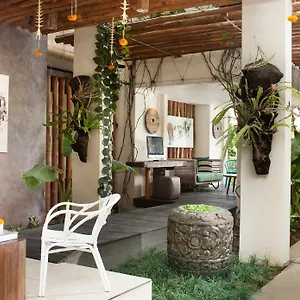 Grandmas 3*, Seminyak Indonezja
