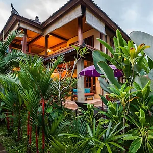 Mangku In Ricefield Ubud (Bali)