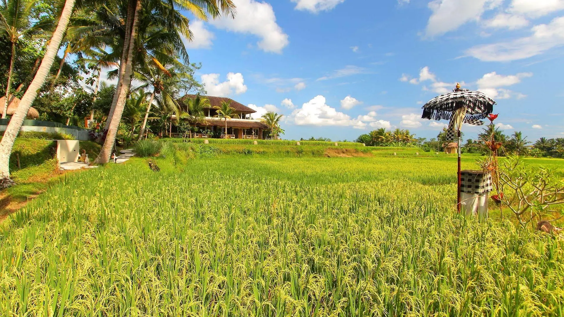 Mathis Retreat Ubud Hotel Ubud (Bali)