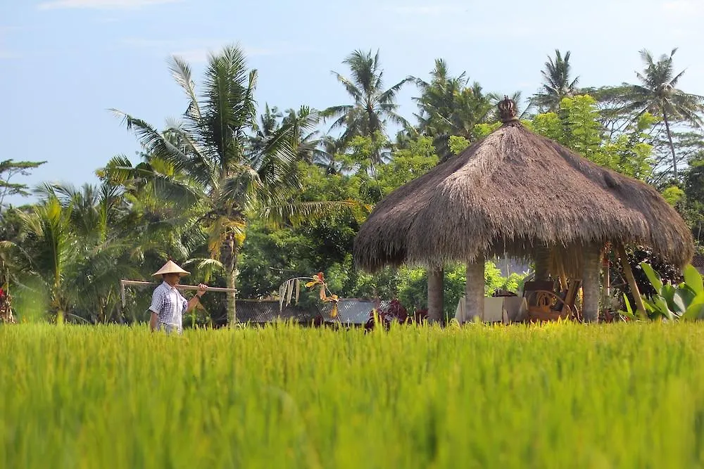 Mathis Retreat Ubud