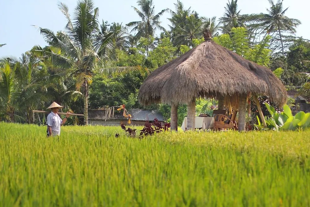Mathis Retreat Ubud Hotel