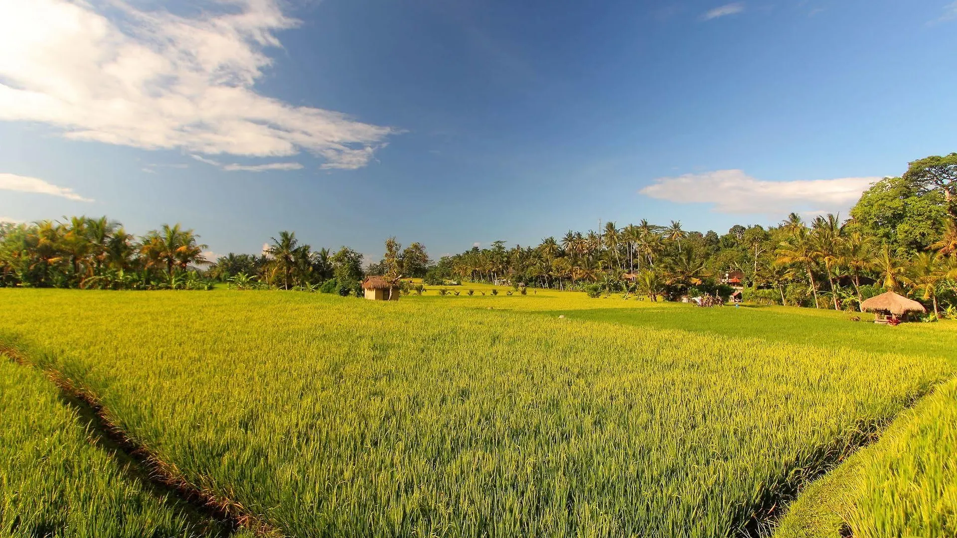 Mathis Retreat Ubud