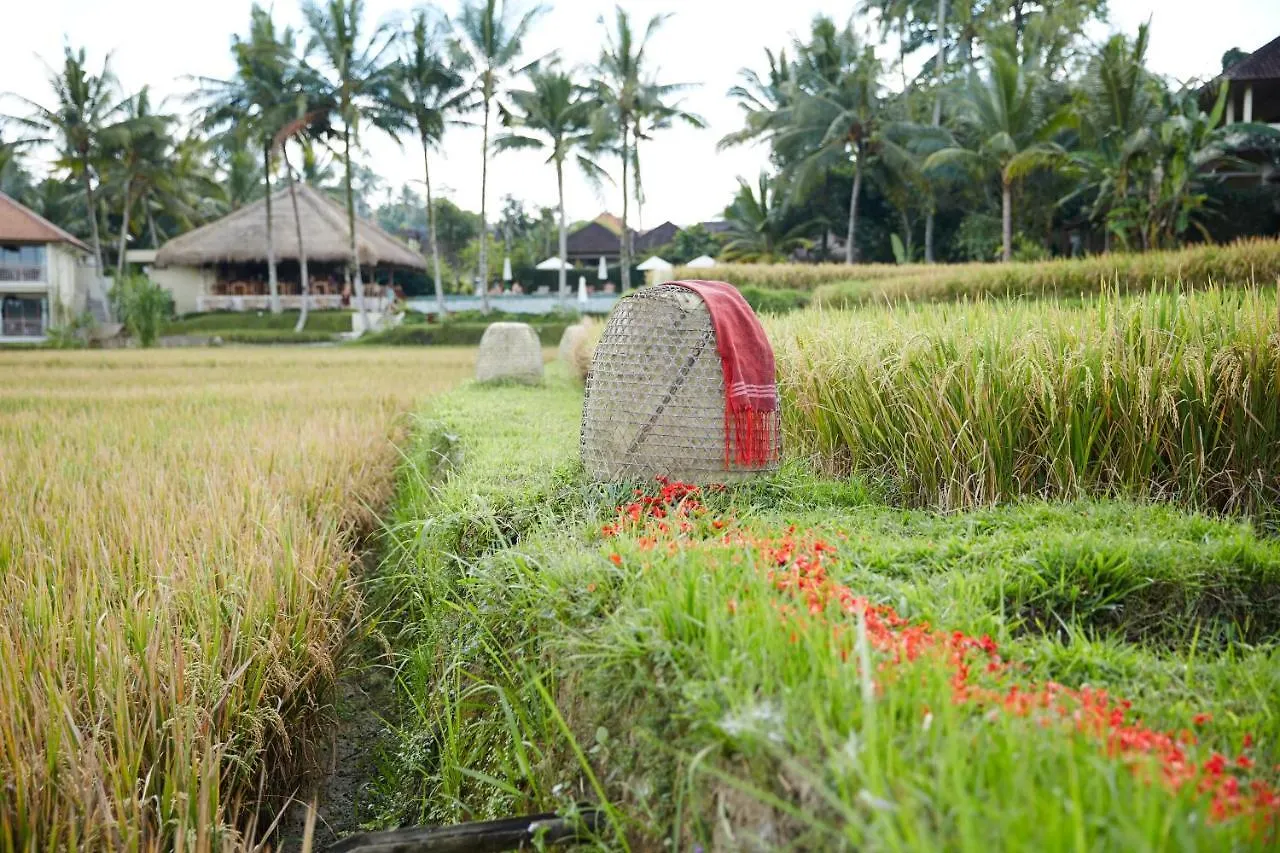 Mathis Retreat Ubud